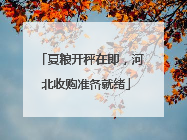 夏粮开秤在即，河北收购准备就绪