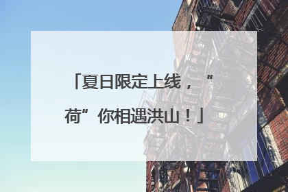 夏日限定上线，“荷”你相遇洪山！