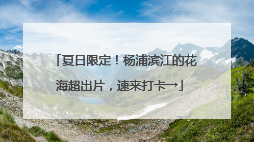 夏日限定！杨浦滨江的花海超出片，速来打卡→