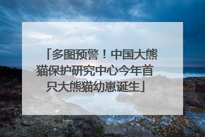 多图预警！中国大熊猫保护研究中心今年首只大熊猫幼崽诞生