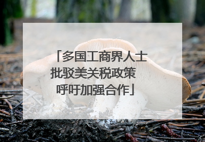 多国工商界人士批驳美关税政策 呼吁加强合作