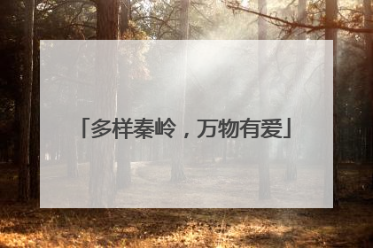 多样秦岭，万物有爱