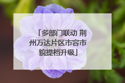 多部门联动 荆州万达片区市容市貌提档升级