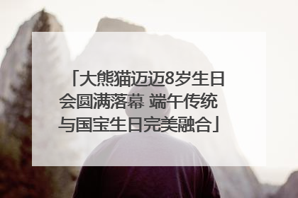 大熊猫迈迈8岁生日会圆满落幕 端午传统与国宝生日完美融合