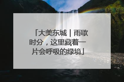 大美东城｜雨歇时分，这里藏着一片会呼吸的绿境
