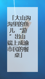 大山沟沟里的鱼儿 “游”出山 端上成渝市民的餐桌