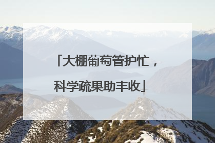大棚葡萄管护忙，科学疏果助丰收