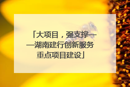 大项目，强支撑——湖南建行创新服务重点项目建设