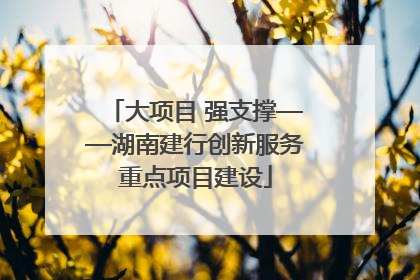 大项目 强支撑——湖南建行创新服务重点项目建设