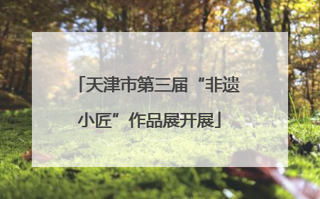 天津市第三届“非遗小匠”作品展开展