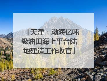 天津：渤海亿吨级油田海上平台陆地建造工作收官