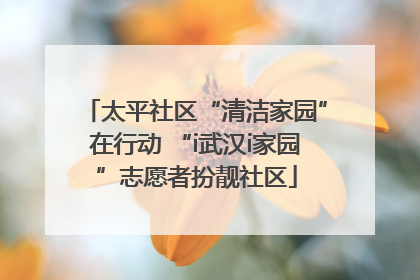太平社区“清洁家园”在行动 “i武汉i家园”志愿者扮靓社区