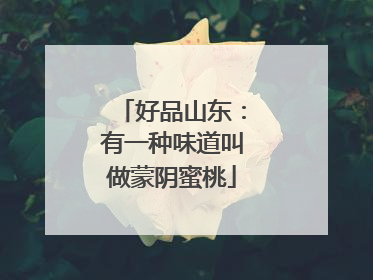 好品山东：有一种味道叫做蒙阴蜜桃