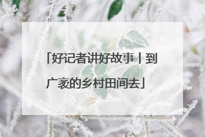 好记者讲好故事丨到广袤的乡村田间去