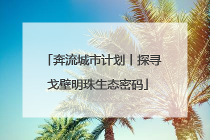 奔流城市计划丨探寻戈壁明珠生态密码