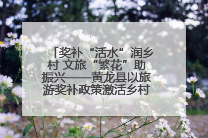 奖补“活水”润乡村 文旅“繁花”助振兴——黄龙县以旅游奖补政策激活乡村振兴新动能