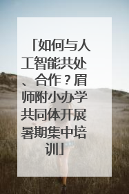 如何与人工智能共处、合作？眉师附小办学共同体开展暑期集中培训