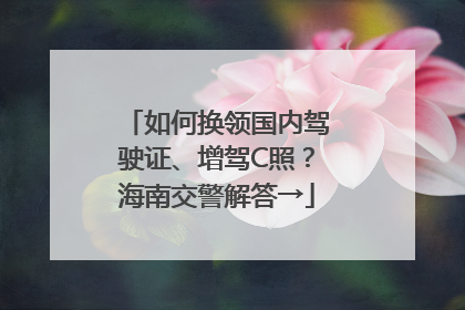 如何换领国内驾驶证、增驾C照？海南交警解答→