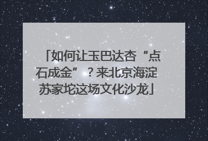 如何让玉巴达杏“点石成金”？来北京海淀苏家坨这场文化沙龙