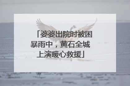 婆婆出院时被困暴雨中，黄石全城上演暖心救援