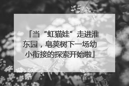 当“虹猫娃”走进淮东园，皂荚树下一场幼小衔接的探索开始啦