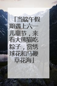 当端午假期遇上六一儿童节，来看大熊猫吃粽子，赏绣球花和马鞭草花海