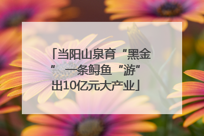 当阳山泉育“黑金” 一条鲟鱼“游”出10亿元大产业