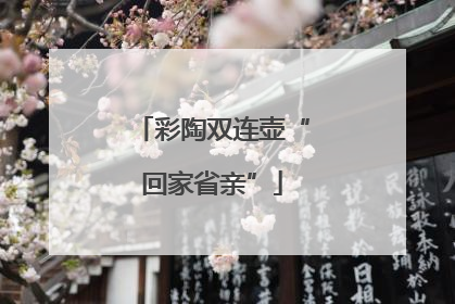 彩陶双连壶“回家省亲”