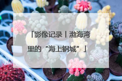 影像记录丨渤海湾里的“海上钢城”