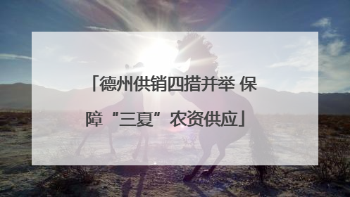 德州供销四措并举 保障“三夏”农资供应