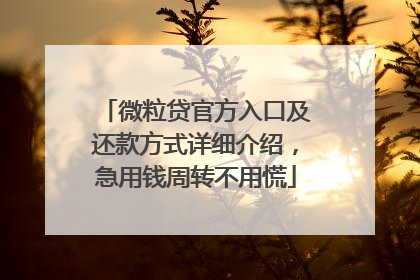 微粒贷官方入口及还款方式详细介绍，急用钱周转不用慌