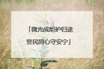 微光成炬护归途 警民同心守安宁