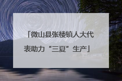 微山县张楼镇人大代表助力“三夏”生产