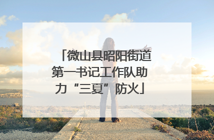 微山县昭阳街道第一书记工作队助力“三夏”防火