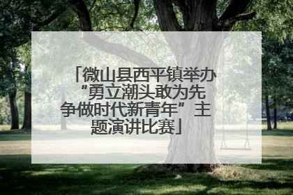 微山县西平镇举办“勇立潮头敢为先 争做时代新青年”主题演讲比赛