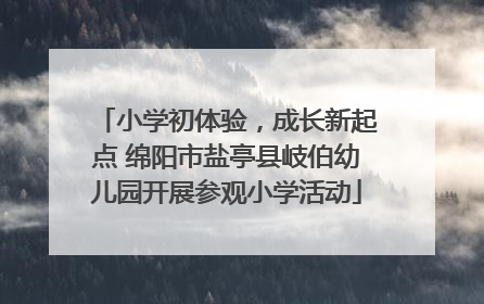 小学初体验，成长新起点 绵阳市盐亭县岐伯幼儿园开展参观小学活动