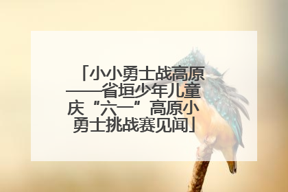 小小勇士战高原——省垣少年儿童庆“六一”高原小勇士挑战赛见闻