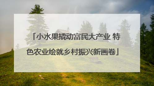 小水果撬动富民大产业 特色农业绘就乡村振兴新画卷