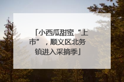 小西瓜甜蜜“上市”，顺义区北务镇进入采摘季