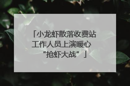 小龙虾散落收费站 工作人员上演暖心“抢虾大战”