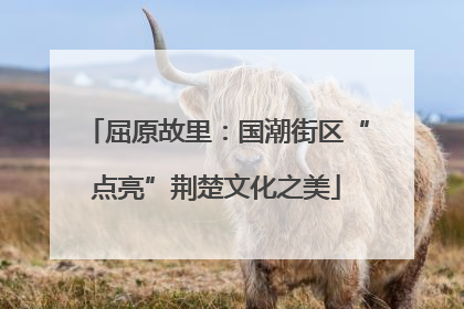 屈原故里：国潮街区“点亮”荆楚文化之美