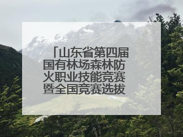山东省第四届国有林场森林防火职业技能竞赛暨全国竞赛选拔赛鸣锣开赛