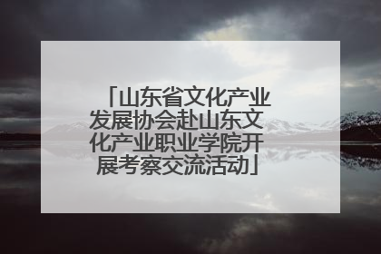 山东省文化产业发展协会赴山东文化产业职业学院开展考察交流活动