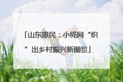 山东惠民：小绳网“织”出乡村振兴新图景