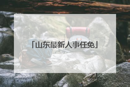 山东最新人事任免