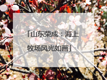山东荣成：海上牧场风光如画