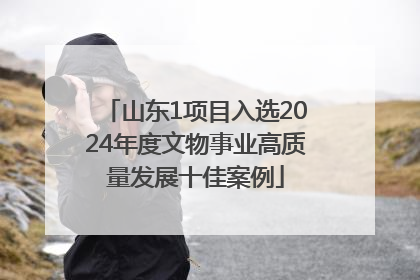 山东1项目入选2024年度文物事业高质量发展十佳案例