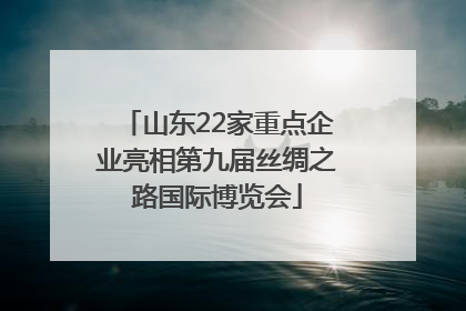 山东22家重点企业亮相第九届丝绸之路国际博览会