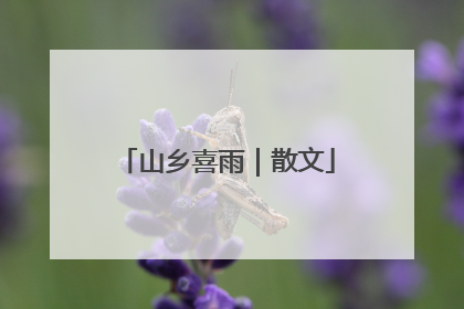 山乡喜雨｜散文