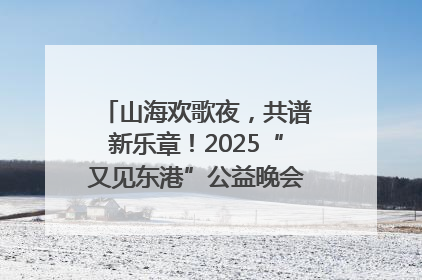 山海欢歌夜，共谱新乐章！2025“又见东港”公益晚会奏响文旅强音